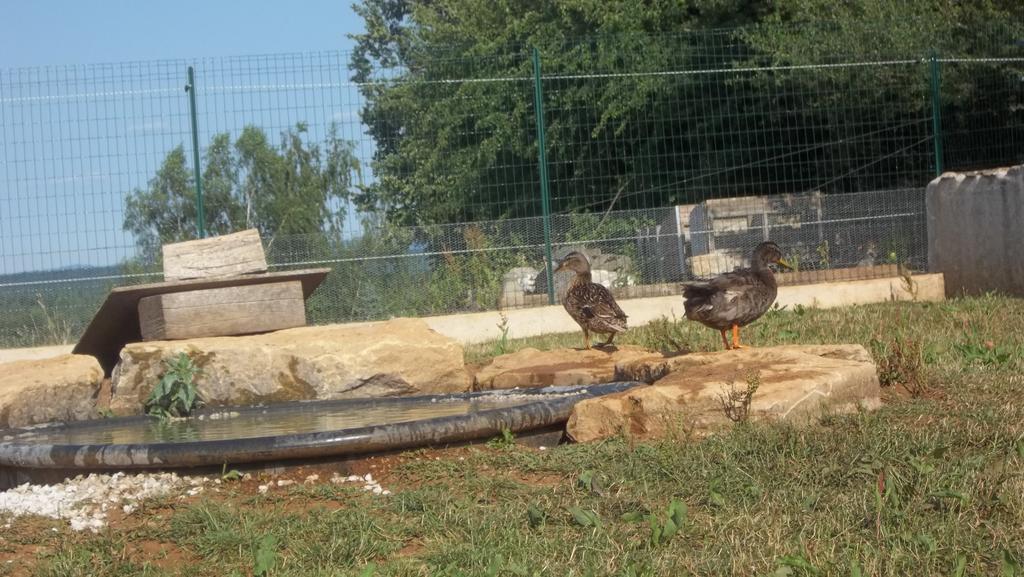 Gite Du Colombier Le Fied المظهر الخارجي الصورة