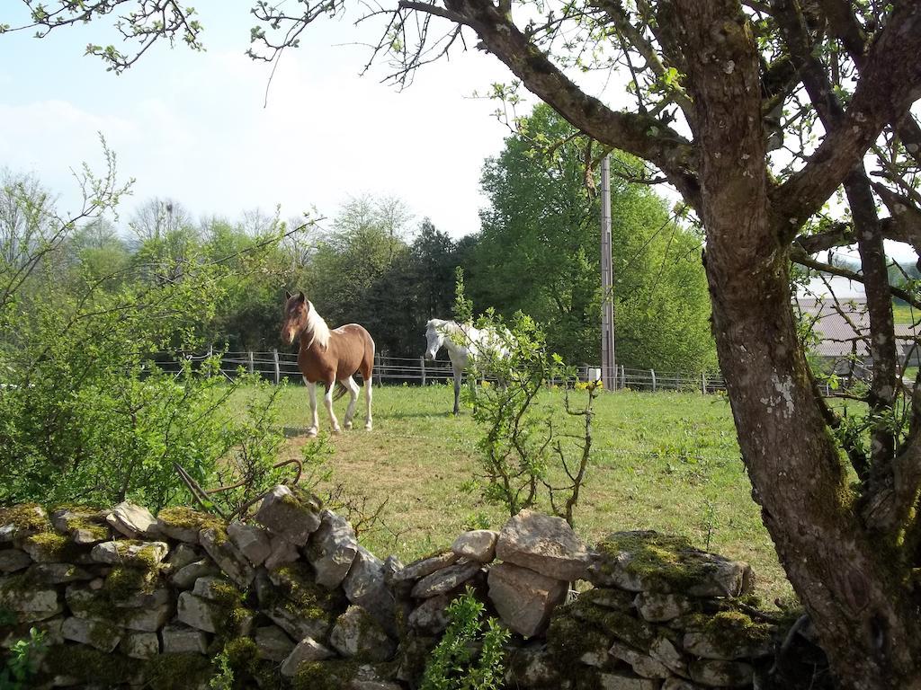 Gite Du Colombier Le Fied المظهر الخارجي الصورة