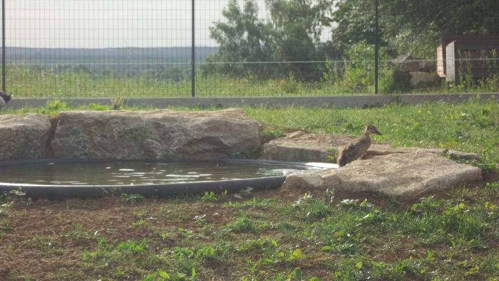 Gite Du Colombier Le Fied المظهر الخارجي الصورة